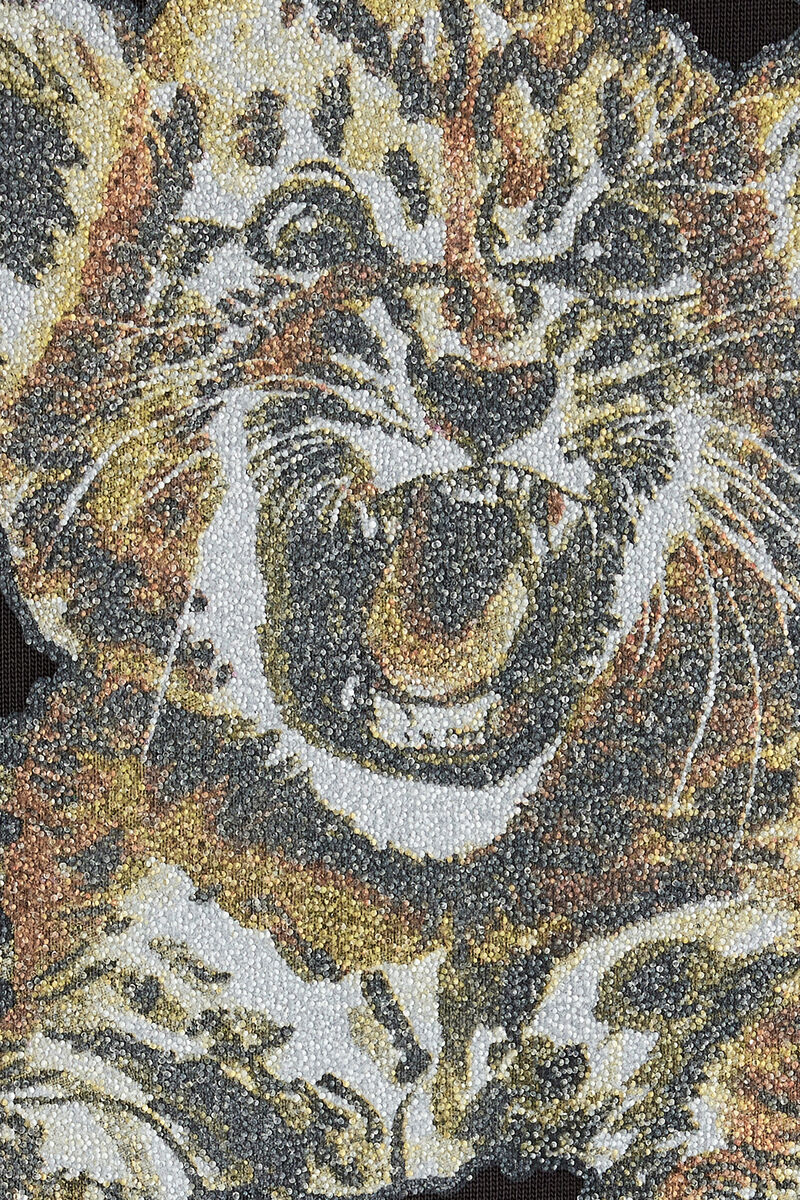 T-shirt with Tiger, Organic Cotton, in colour Phantom - 2 - GANNI
